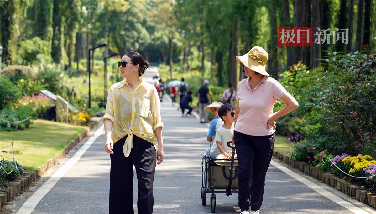 网上飞禽走兽数学打法